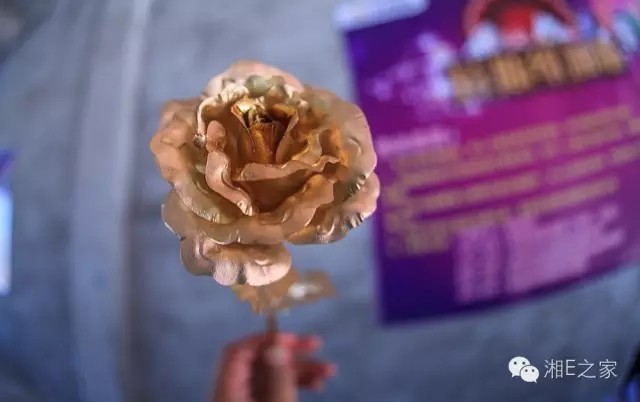 天嬌汽車文化節(jié)-一個可以吃喝玩樂的汽車節(jié)！