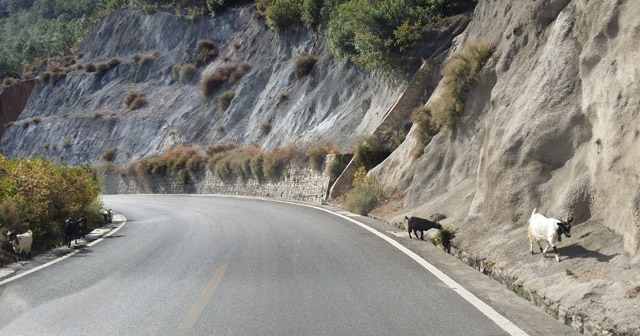 講真的，我碰到了20年后的我...
