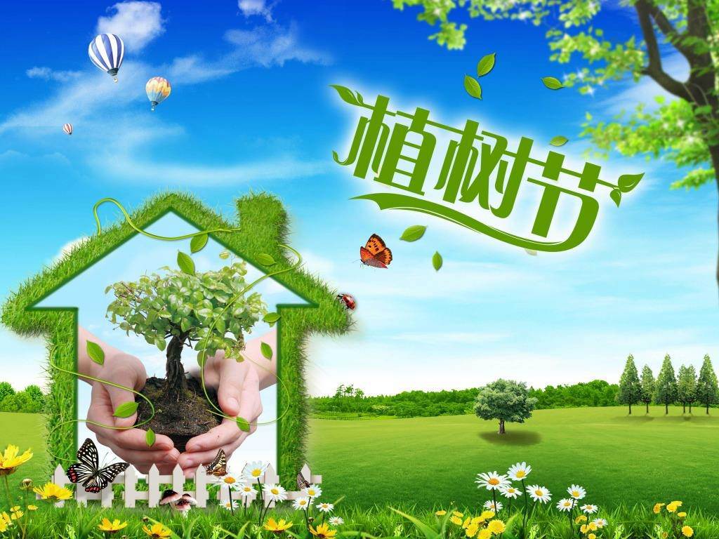 北京現(xiàn)代“智現(xiàn)代，植未來”，你我共建森林邵陽