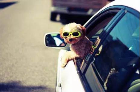 你所不知道的真相，車窗保養(yǎng)有多重要