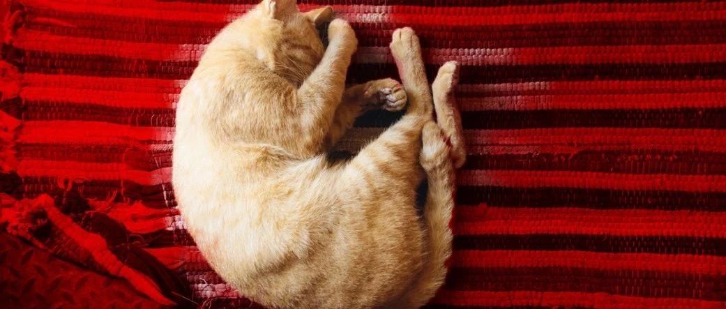 人類發(fā)展的動力，除了懶，還有對舒適的追求