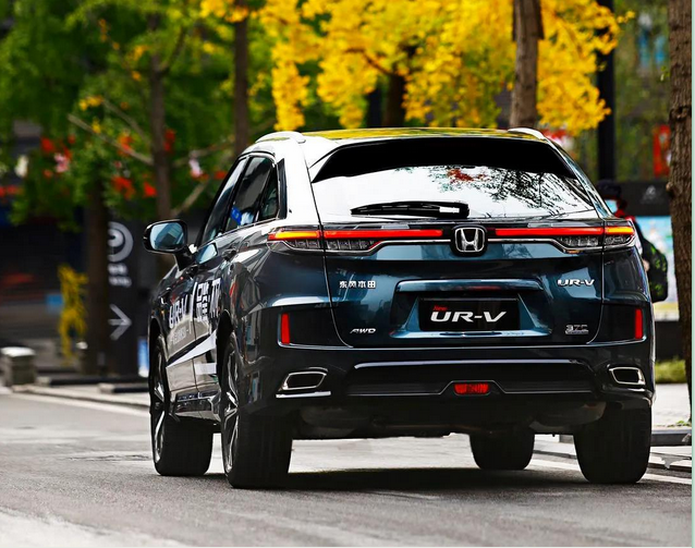 暢游樂逸蓉城，感受市井“慢生活”