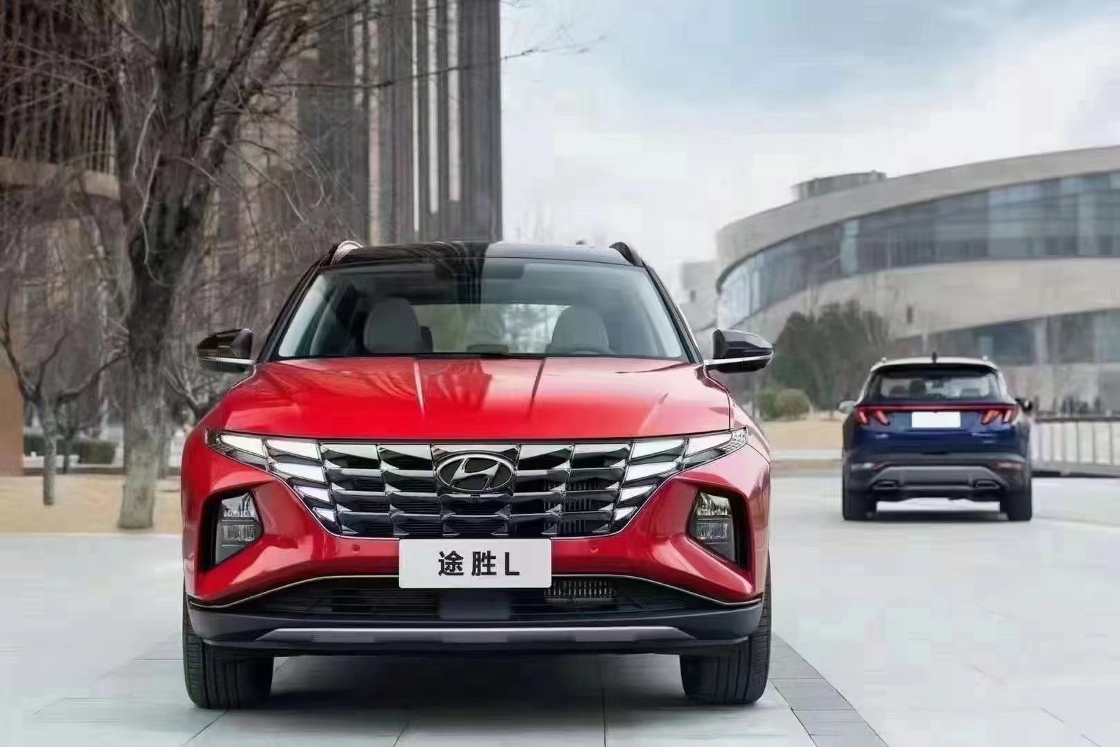 如何呵護(hù)家人，看這兒！